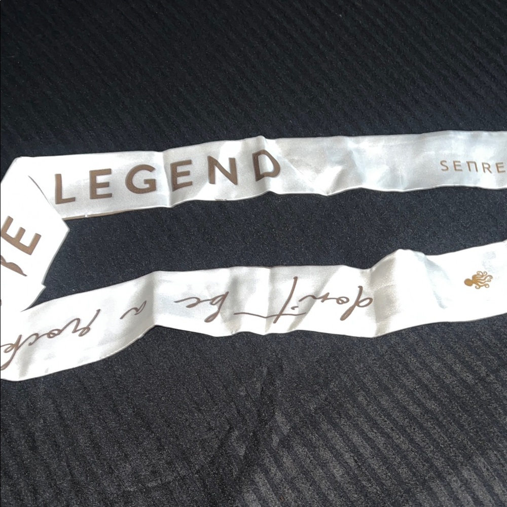 Senreve scarf  don't be a rockstar be a legend